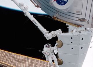 Illustration for article titled A Robotic Arm in Space Mixes Brawn and Beauty